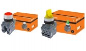 Tdm Переключатель с ключом на 2 положения с фиксацией M2SSК1-102 SQ0747-0080