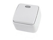 Фотография товара 'Tdm Выключатель 1-кл. открытой установки с подсветкой IP20 10А, Дача SQ1824-0005'