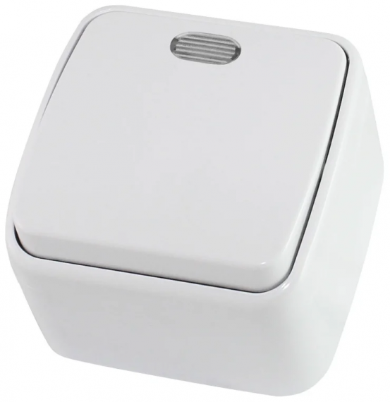 Фотография товара 'Tdm Выключатель 1-кл. открытой установки IP20 10А, Дача SQ1824-0001'